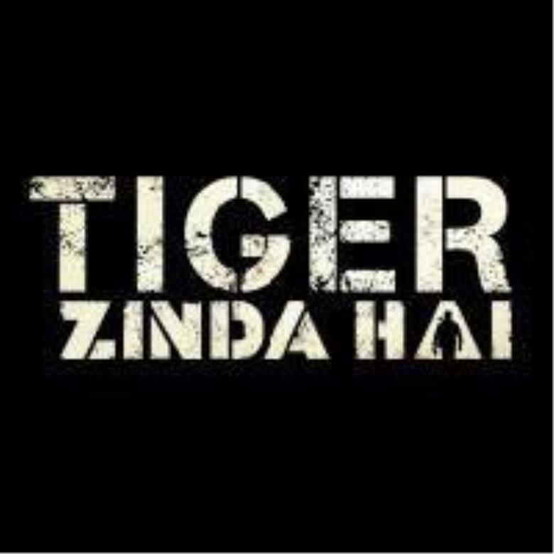Tiger Zinda Hai Song - Ταινία Bollywood
